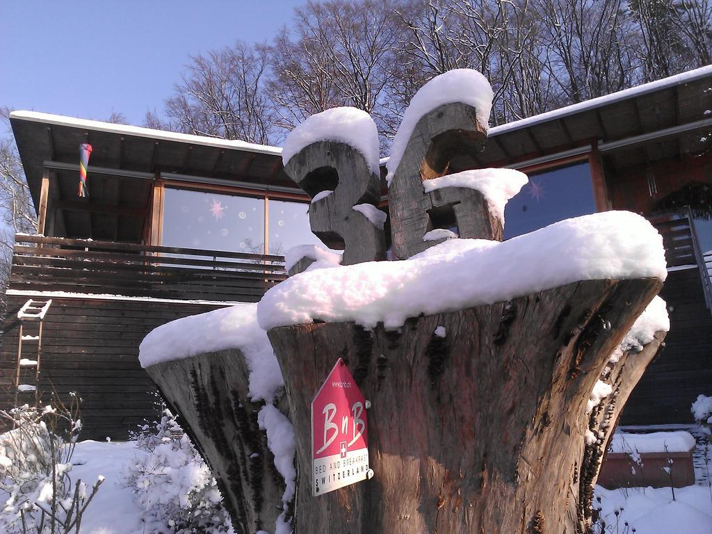 B&B Sunnesite Pratteln Exterior foto