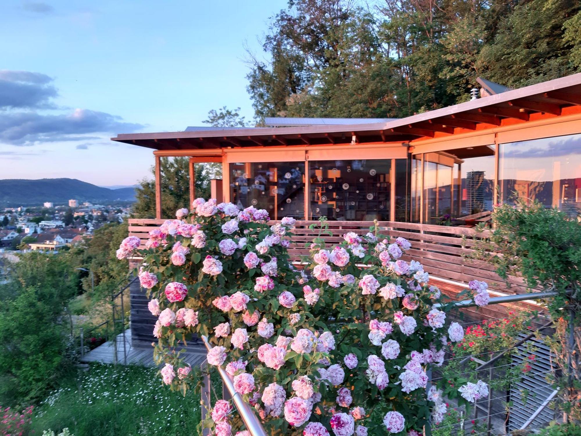 B&B Sunnesite Pratteln Exterior foto